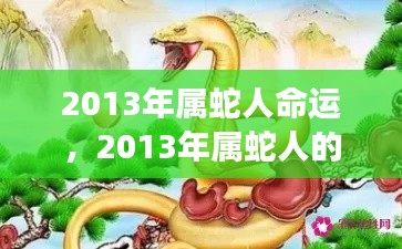 2013年属蛇人的命运展望,风云变幻,运势起伏