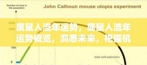 粗枝大叶 第6页