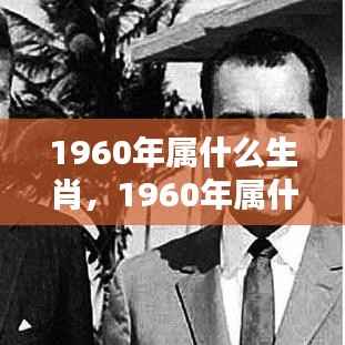 揭秘1960年属相运势与个性特点,生肖解析深度解读