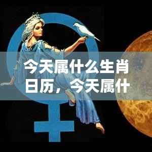 今日生肖运势解析,揭秘生肖日历洞悉每日运势走向