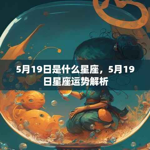 5月19日星座运势揭秘,探寻星座运势背后的秘密