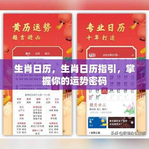 夫妻本是同林鸟 第5页