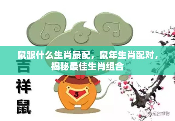 揭秘鼠年生肖配对,最佳生肖组合大揭秘!