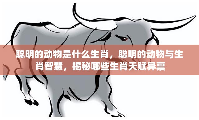 揭秘聪明动物与生肖智慧,哪些生肖天赋异禀?