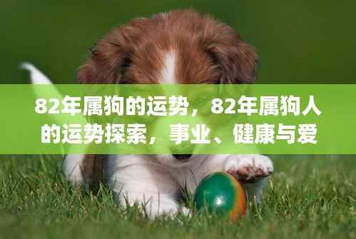 揭秘82年属狗人的事业、健康与爱情运势，星光指引下的全面探索