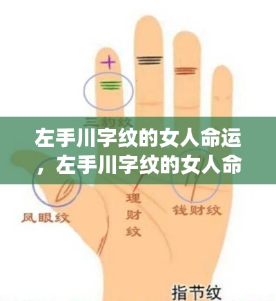 左手川字纹的女人命运揭秘,神秘纹路预示未来走向