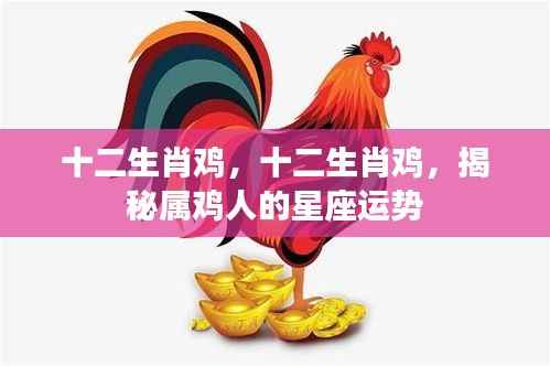 揭秘属鸡人的星座运势,十二生肖鸡深度解析