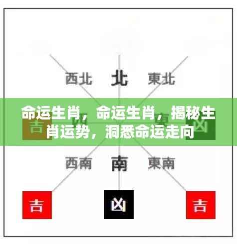堂堂正正 第7页
