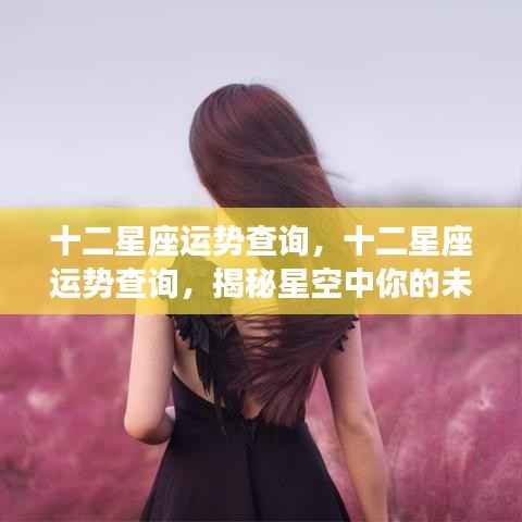 揭秘十二星座未来运势,星空指引下的命运走向查询