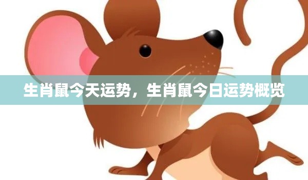 生肖鼠今日运势概览及运势分析