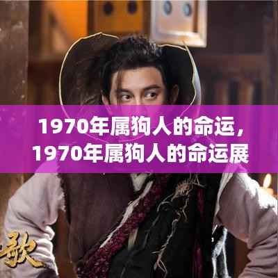 1970年属狗人的命运展望与星座运势深度解析