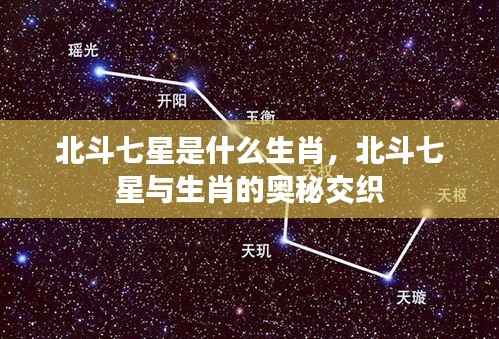 北斗七星与生肖的奥秘交织,探索七星生肖之谜