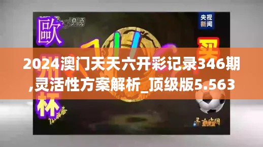 2024澳门天天六开彩记录346期,灵活性方案解析_顶级版5.563