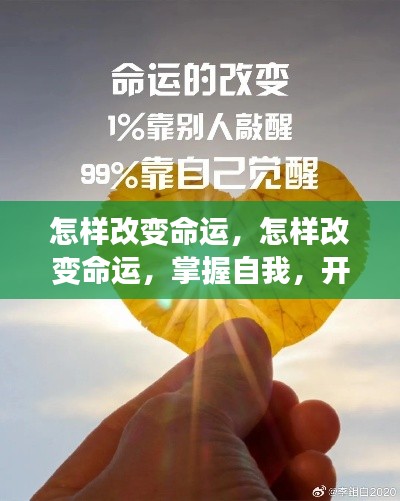 如何改变命运?掌握自我,开启人生新篇章!