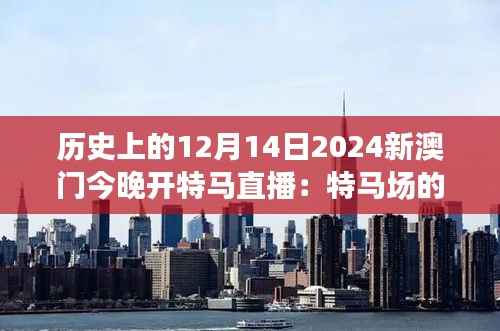 历史上的12月14日2024新澳门今晚开特马直播:特马场的魅力,历史的篇章
