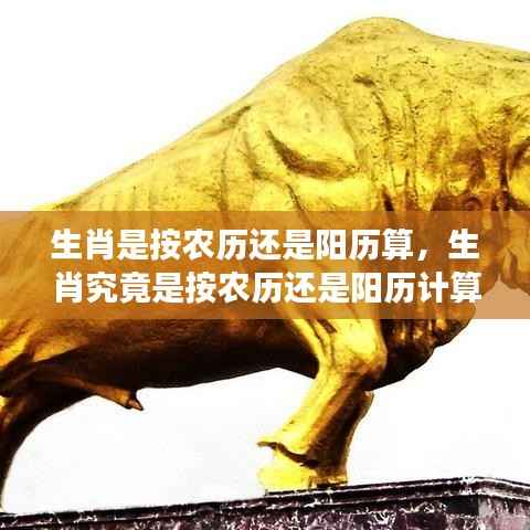 生肖计算方式解析,按农历还是阳历计算?解读生肖与历法的深层联系。