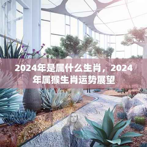 2024年属猴生肖运势展望,生肖运势详解