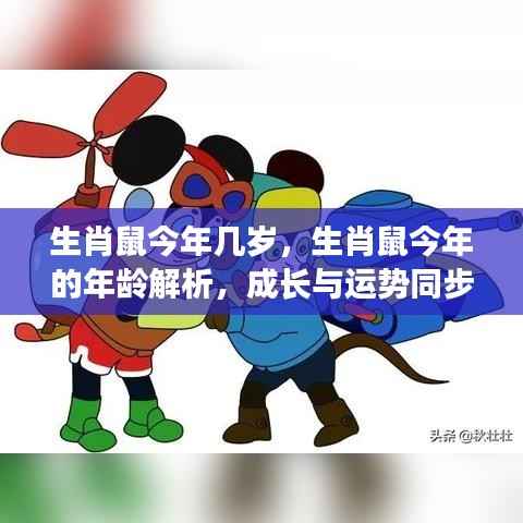 生肖鼠的成长运势解析与年龄解析,成长与运势同步前行,今年生肖鼠多大?