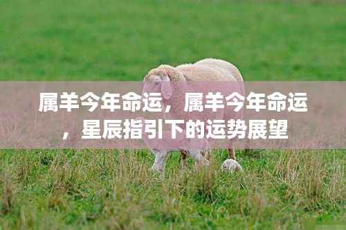 星辰指引下,属羊人今年的命运展望与运势解析