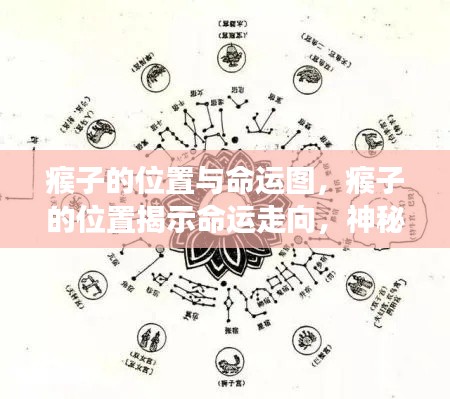 瘊子位置与命运图,神秘星象揭示生命走向的奥秘