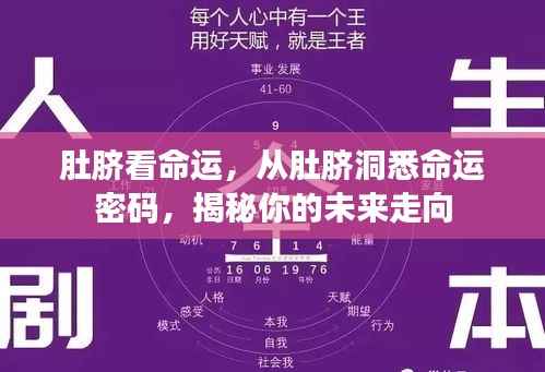 肚脐洞悉命运密码,揭示未来走向的奥秘