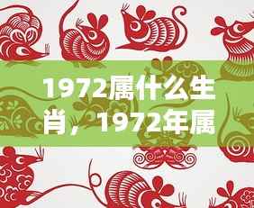 1972年属相运势解析及个性特点概览,生肖运势一览表