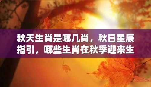 秋季生肖运势巅峰，哪些生肖在秋日星辰指引下大放异彩？