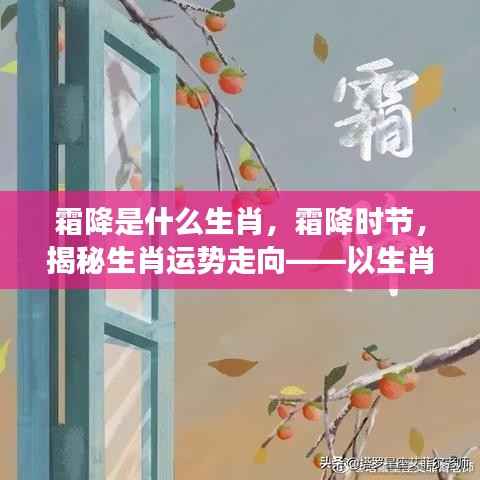 霜降生肖运势揭秘，揭秘生肖与霜降的奇妙关联，解读未来走向