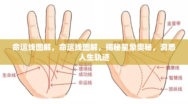 命运线图解,揭秘星象奥秘,洞悉人生轨迹之谜