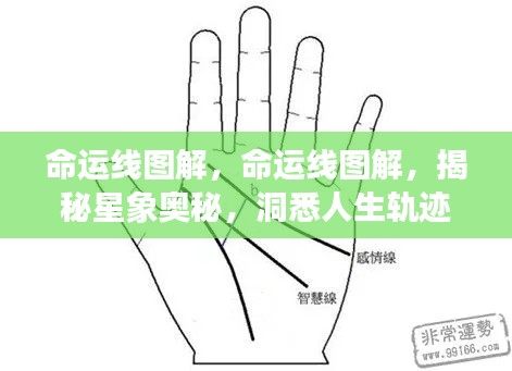 命运线图解,揭秘星象奥秘,洞悉人生轨迹之谜