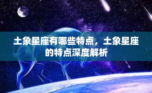 土象星座深度解析,独特性格与特点探究