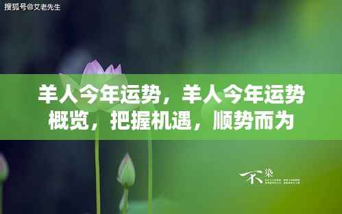 羊年运势概览，把握机遇，顺势而为的羊人运势展望
