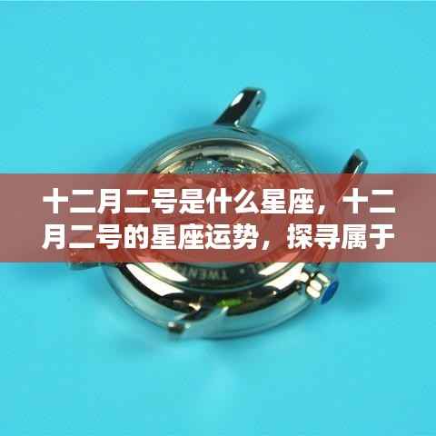 十二月二号的星座运势揭秘,探寻属于你的星辰轨迹