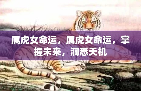 属虎女的命运探索，洞悉未来，掌握天机之路
