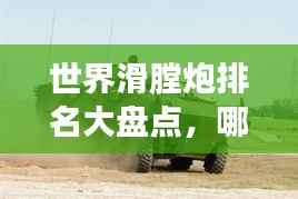 世界滑膛炮排名大盘点，哪些炮位列顶尖？