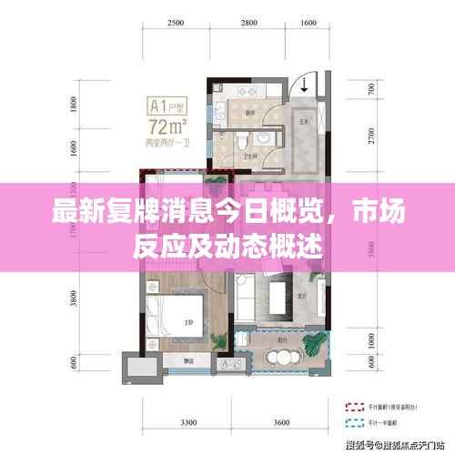 最新复牌消息今日概览,市场反应及动态概述