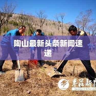 陶山最新头条新闻速递