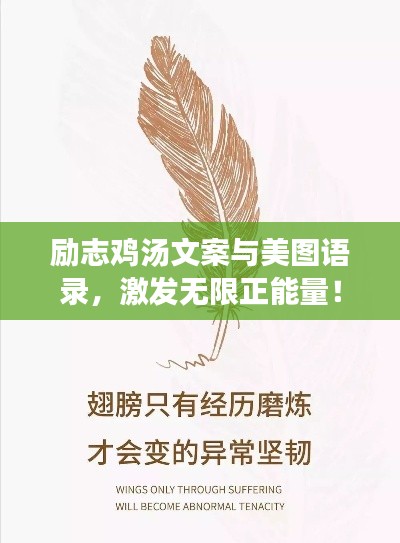励志鸡汤文案与美图语录,激发无限正能量!