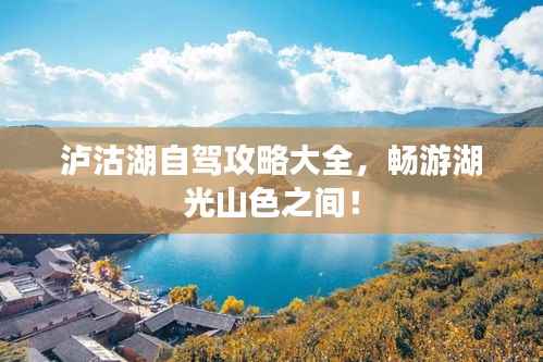 栖冲业简 第5页