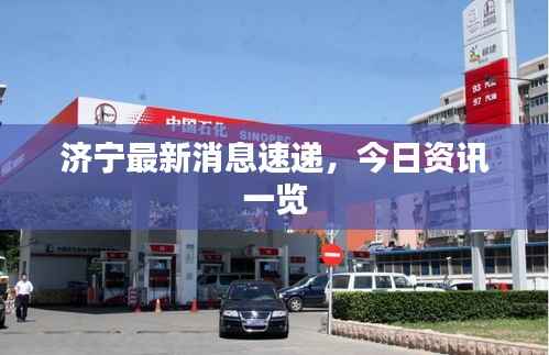 济宁最新消息速递，今日资讯一览