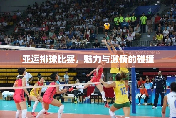 亚运排球比赛,魅力与激情的碰撞