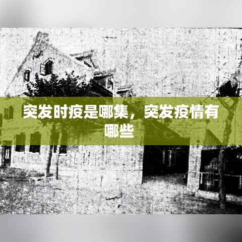 突发时疫是哪集，突发疫情有哪些 