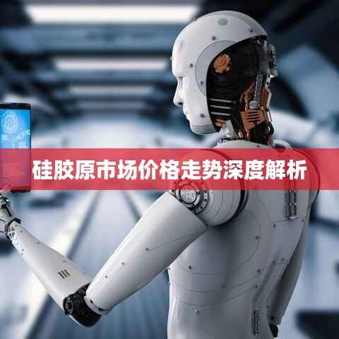 硅胶原市场价格走势深度解析