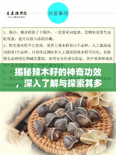 揭秘辣木籽的神奇功效，深入了解与探索其多重作用