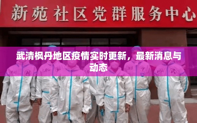 武清枫丹地区疫情实时更新,最新消息与动态