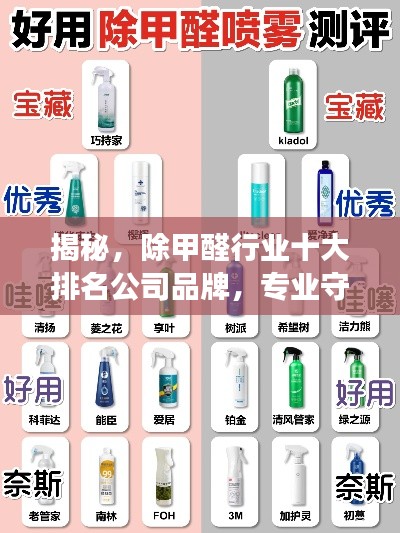 揭秘,除甲醛行业十大排名公司品牌,专业守护健康呼吸
